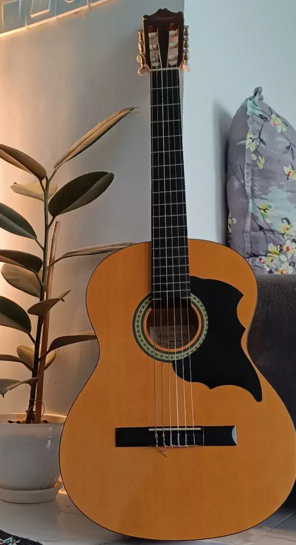 گیتار فروش فورری|گیتار، بیس، امپلیفایر|گرگان, |دیوار