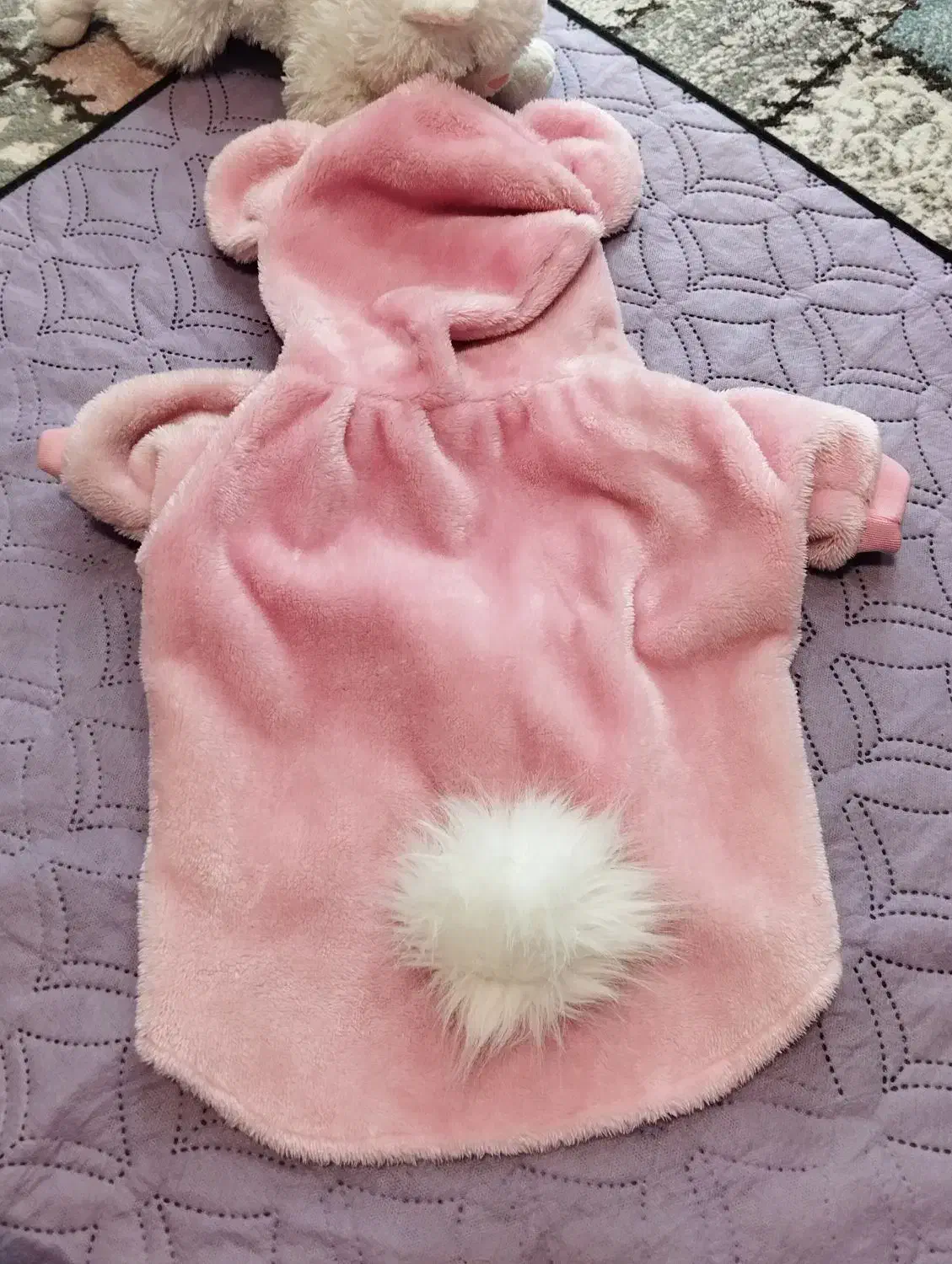 لباس سگ|لوازم جانبی حیوانات|تهران, هفت حوض|دیوار