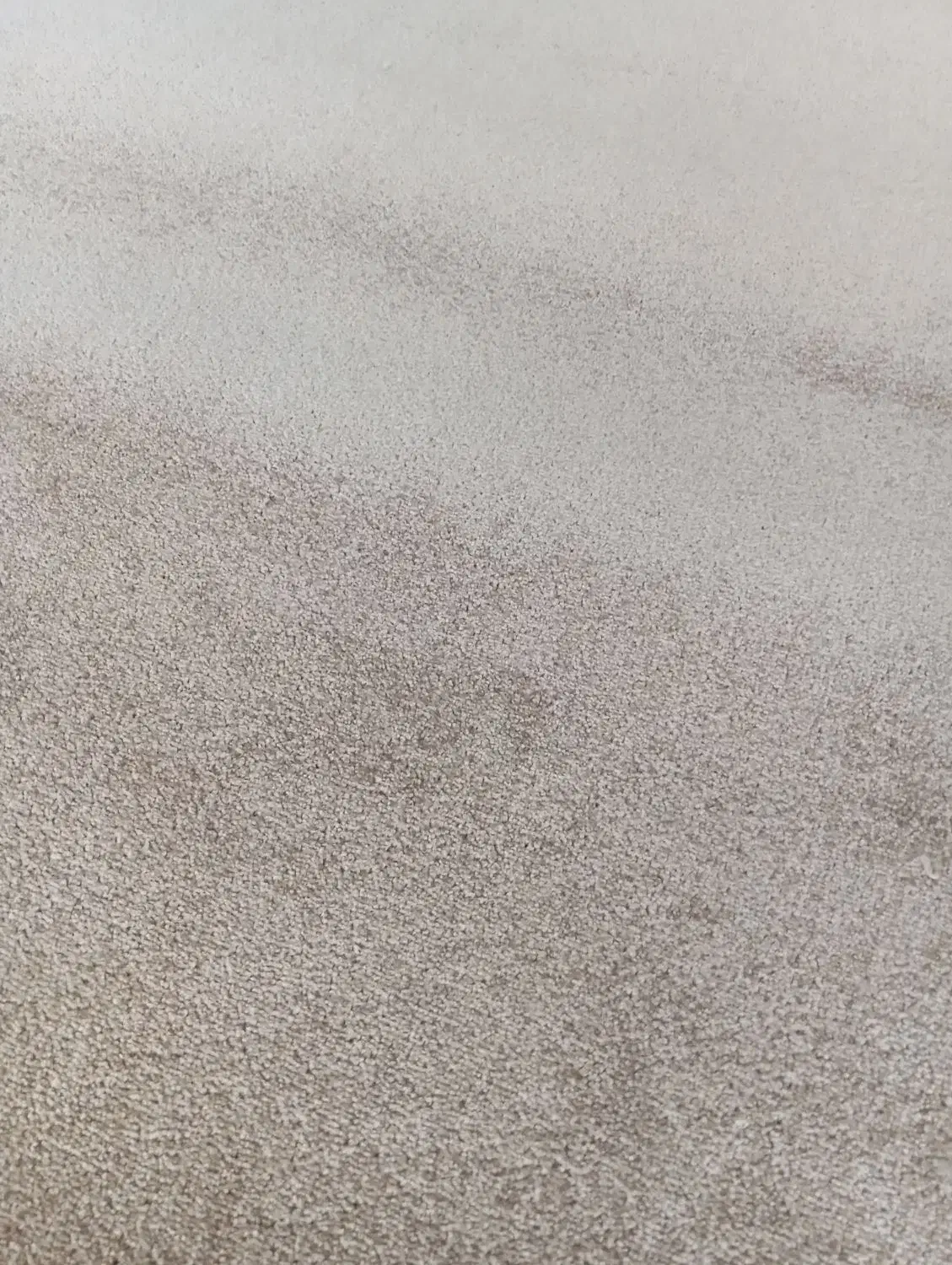 موکد|موکت|لالجین, |دیوار