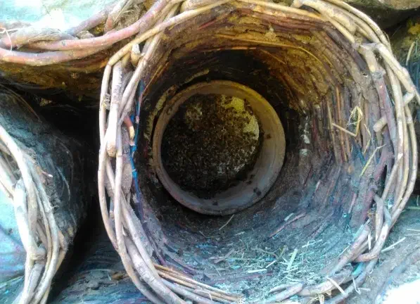 عسل کاملاًطبیعی ارگانیک برای دیابتی ها قلب و گوارش|عمدهفروشی|سنندج, |دیوار