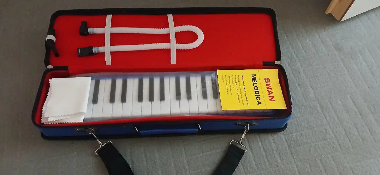 ملودیکا سوان|پیانو، کیبورد، آکاردئون|بوشهر, |دیوار