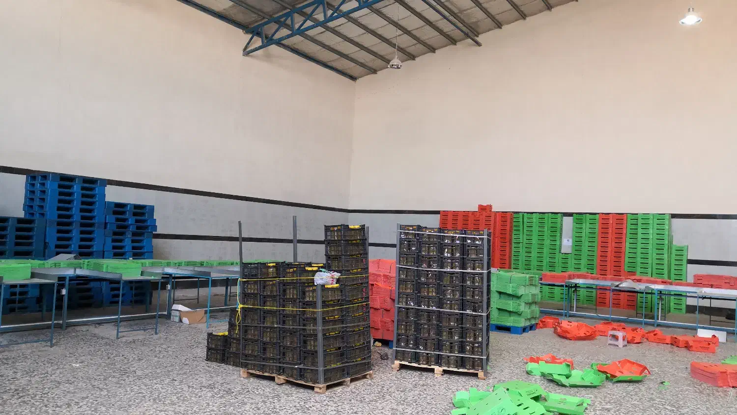 رهن اجاره سوله انبار کالا پخش و توزیع مواد غذایی|اجارهٔ دفتر صنعتی، کشاورزی، تجاری|خمینیشهر, |دیوار