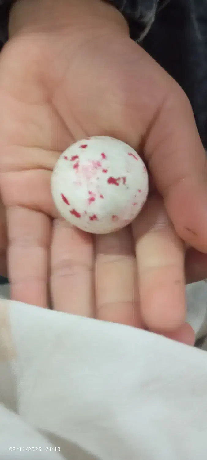 سنگ اسیاب|کلکسیون اشیاء عتیقه|اسماعیلی, |دیوار