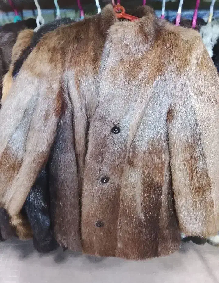 پالتو پوست|لباس|شیراز, صاحب الزمان|دیوار