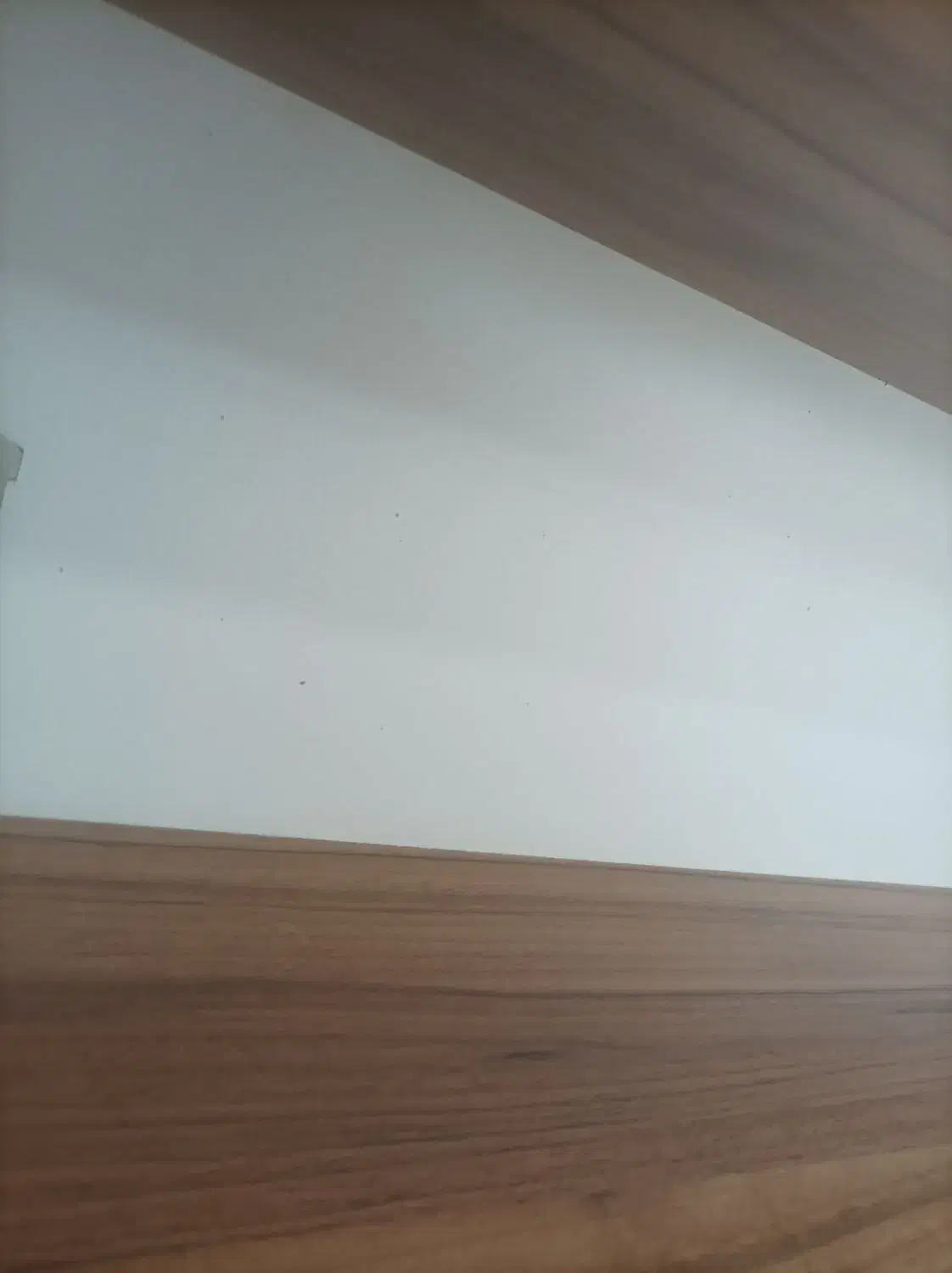 قفسه ام دی اف|کتابخانه، شلف، قفسه‌های دیواری|رشت, دیانتی|دیوار