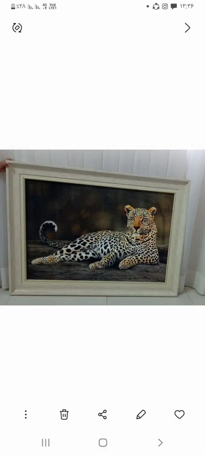 تابلو فرش نو|تابلو فرش|سبزوار, امیر کبیر|دیوار