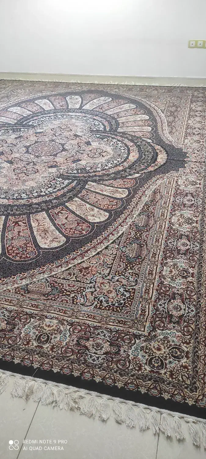 دوتخته فرش دوازده متری 700شانه درحدنو|فرش|پاکدشت, پاکدشت (مامازند)|دیوار