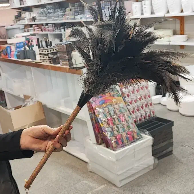 چوب پر گردگیری شترمرغ در مشهد|لوازم نظافت|مشهد, سجادیه|دیوار