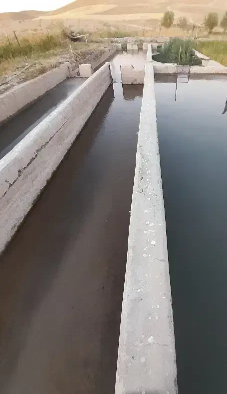 اجاره پرورش ماهی قزل الا بودلا|اجارهٔ دفتر صنعتی، کشاورزی، تجاری|چنگ الماسی, |دیوار