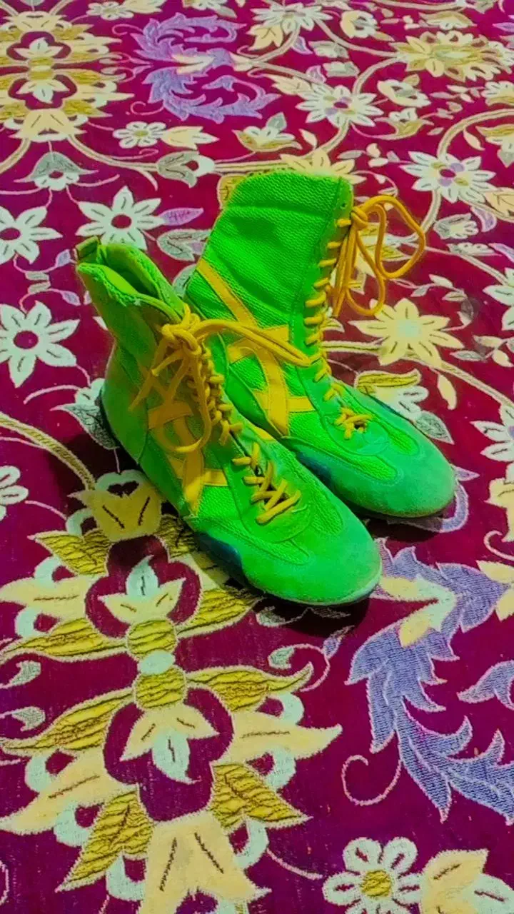 کفش کشتی|کیف، کفش، کمربند|مینودشت, |دیوار