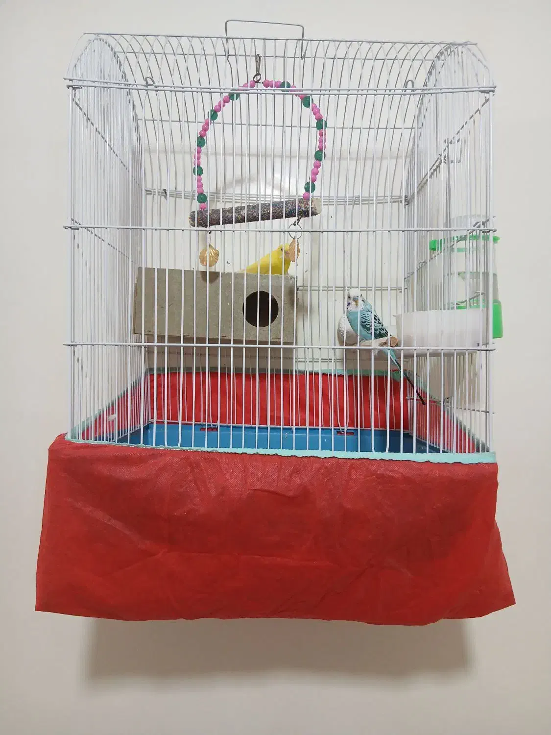 پرنده|پرنده|مسجد سلیمان, |دیوار