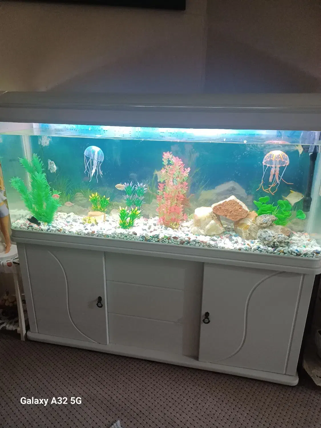 سلام یک عدد شیشه آکواریوم بفروش میرسد|ماهی|بوشهر, |دیوار