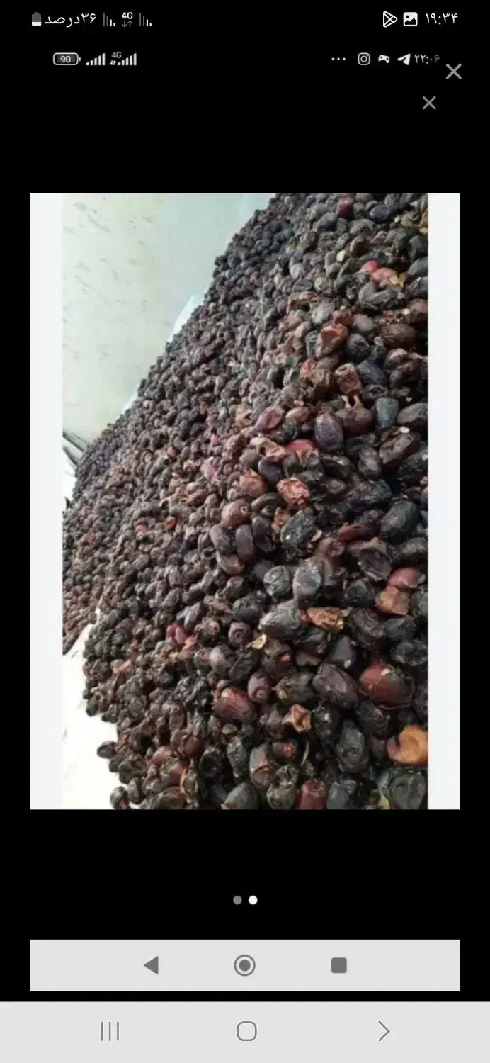 خرما کده|خوردنی و آشامیدنی|بم, |دیوار