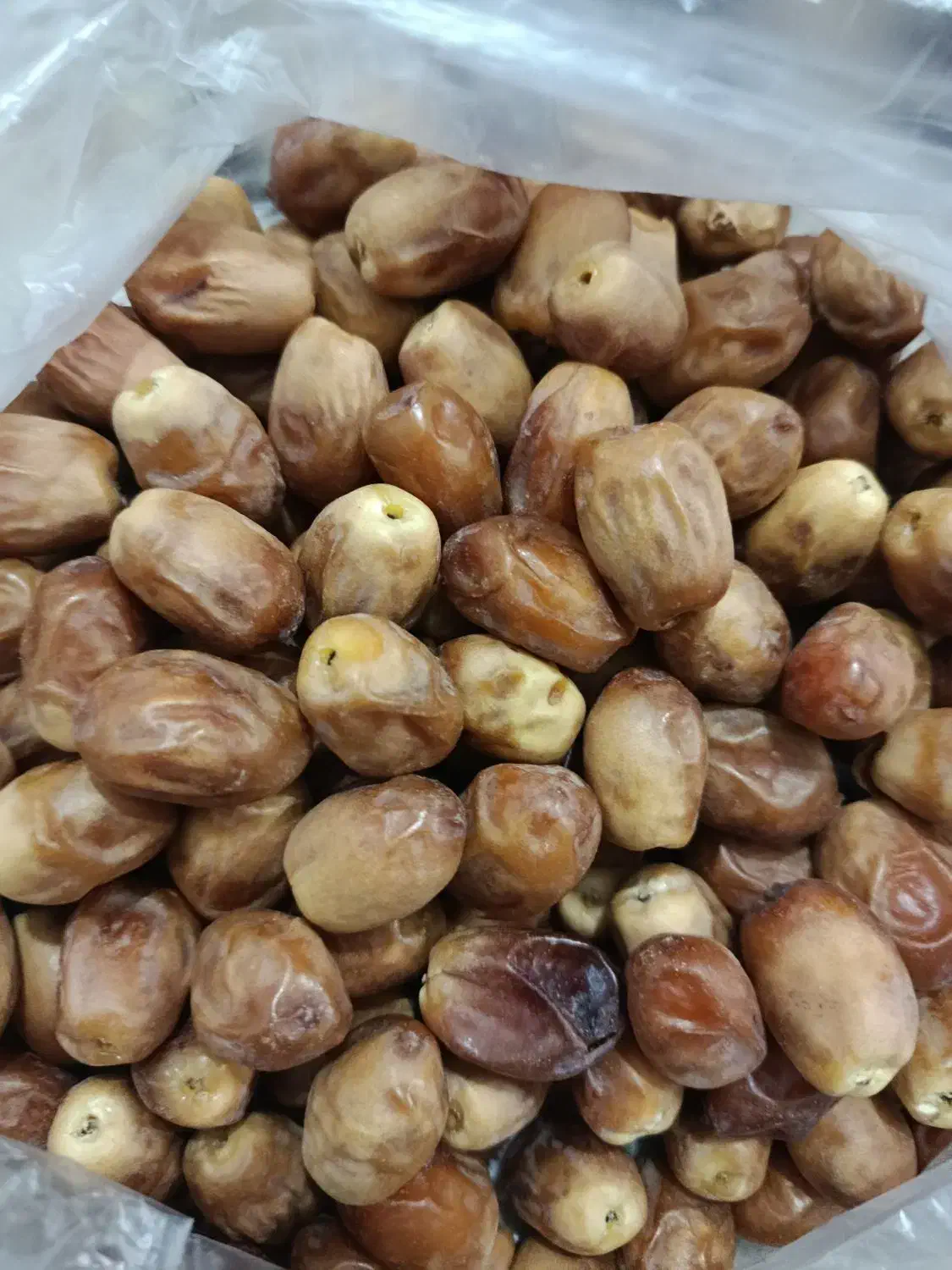 قصب درجه یک دانه درشت و تازه|خوردنی و آشامیدنی|شیراز, شهرک نیروی انتظامی|دیوار