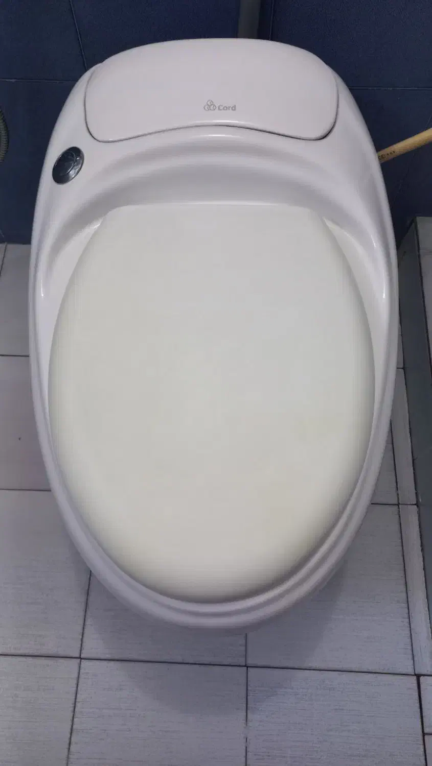 توالت فرنگی|لوازم سرویس بهداشتی|برازجان, |دیوار