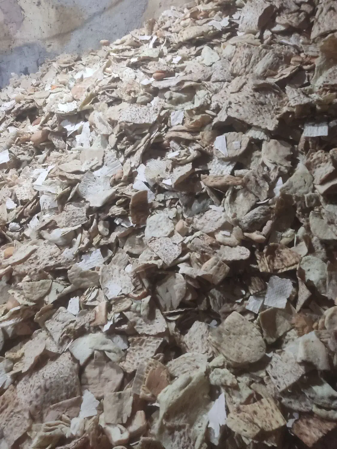 نون خشکی|لوازم جانبی حیوانات|تربت‌حیدریه, میدان مرکزی|دیوار