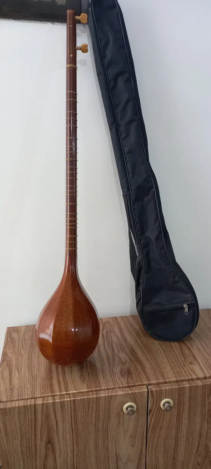 سه تار|سازهای سنتی|دهلران, |دیوار