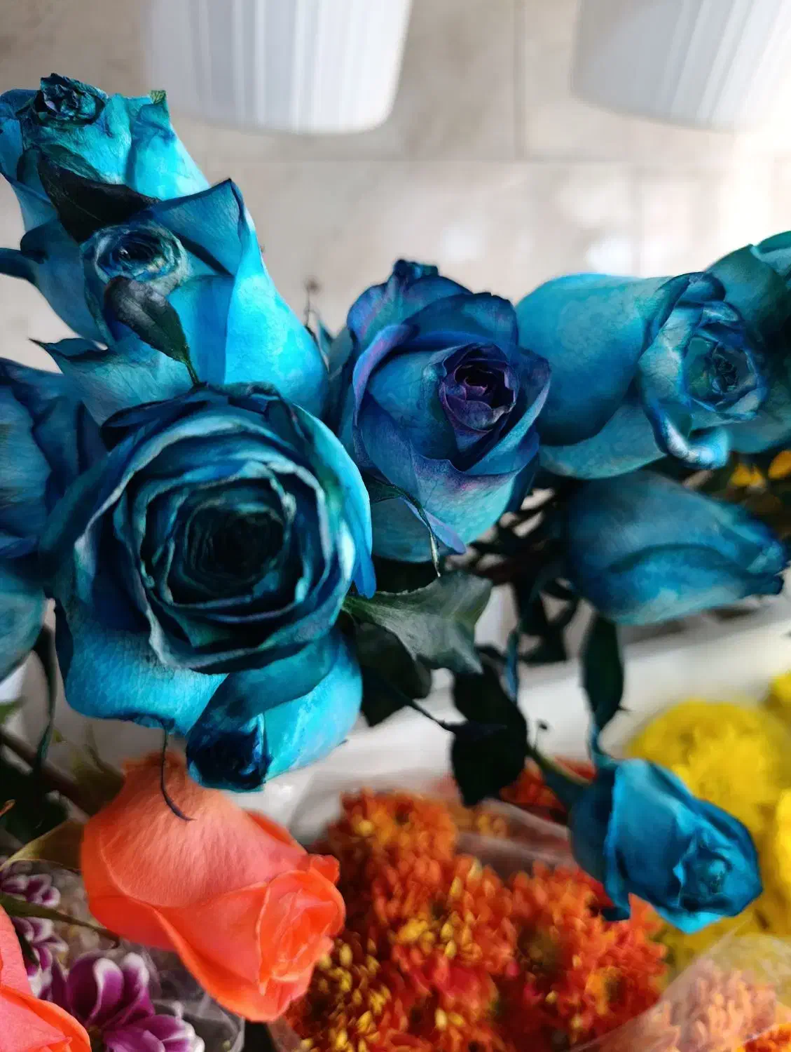 گل طبیعی|گل و گیاه طبیعی|قزوین, |دیوار