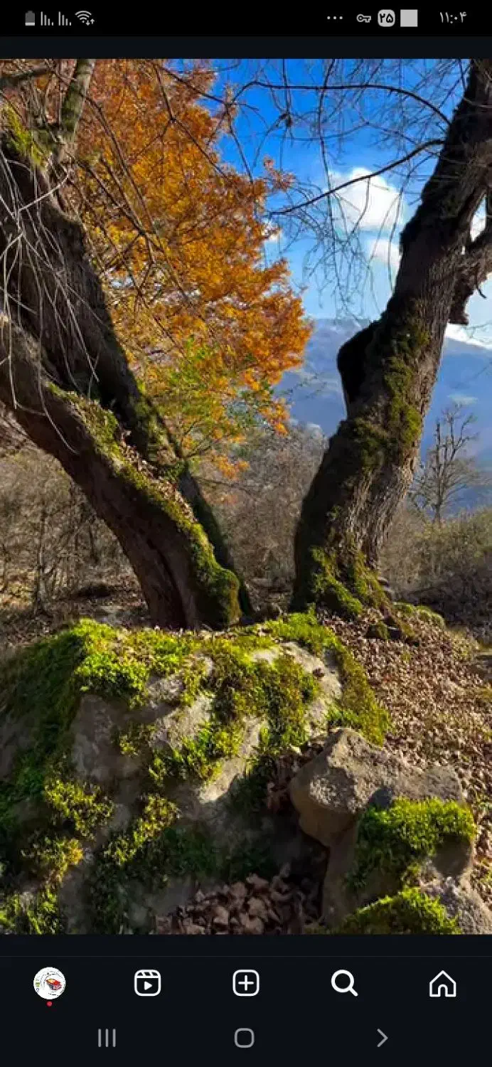 ۰۹۱۲۰۱۶۵۰۰۸|سیمکارت|نوشهر, |دیوار