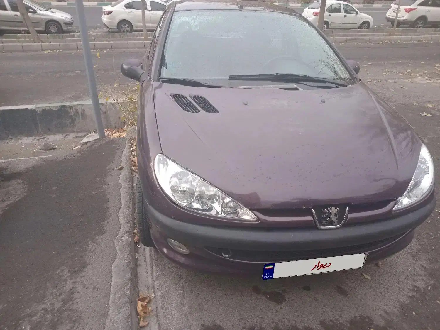 پژو۲۰۶، مدل۹۰، شاسی سالم، نقد واقساط|خودرو سواری و وانت|تهران, سردارجنگل|دیوار