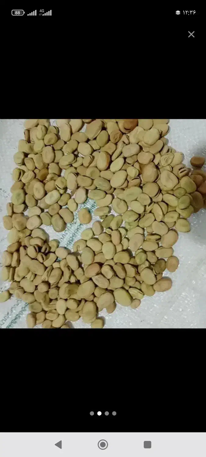 3تن موجود|خوردنی و آشامیدنی|مهربان, |دیوار