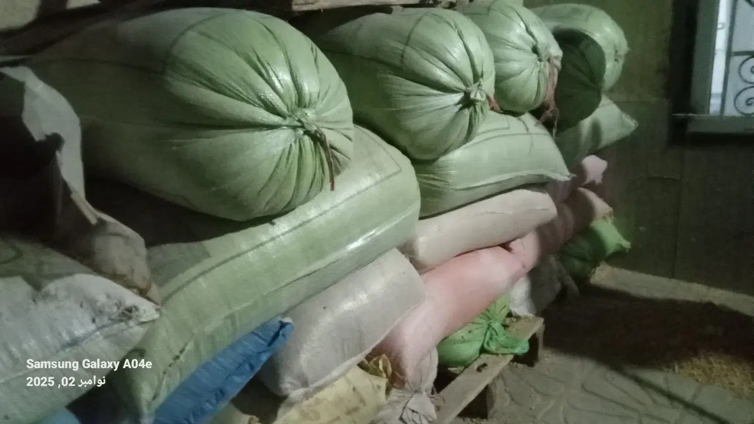 جوسفید|حیوانات مزرعه|بالا ولایت, |دیوار