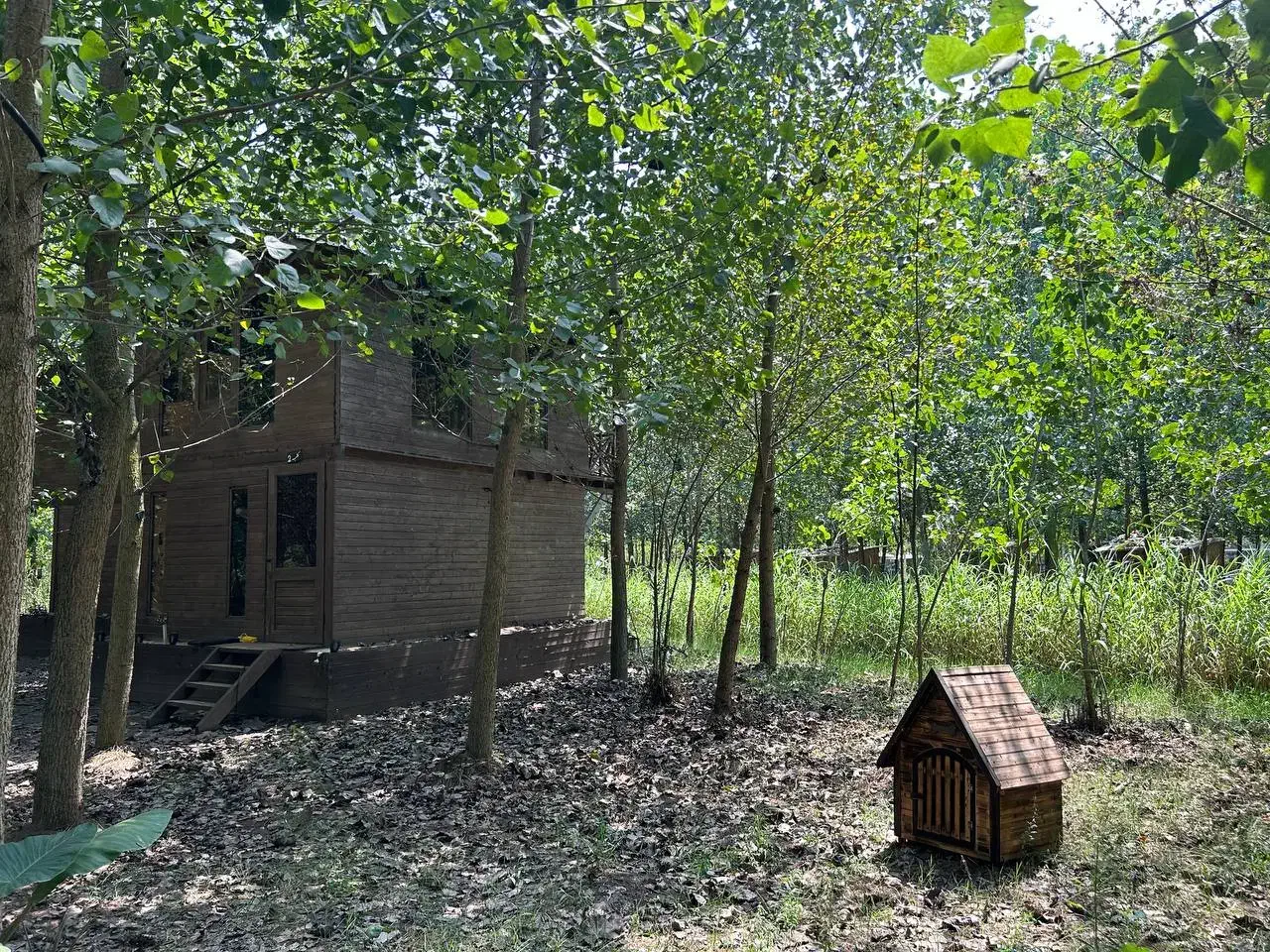 ویلا چوبی در یک پروژه انحصاری|فروش خانه و ویلا|ابریشم, |دیوار