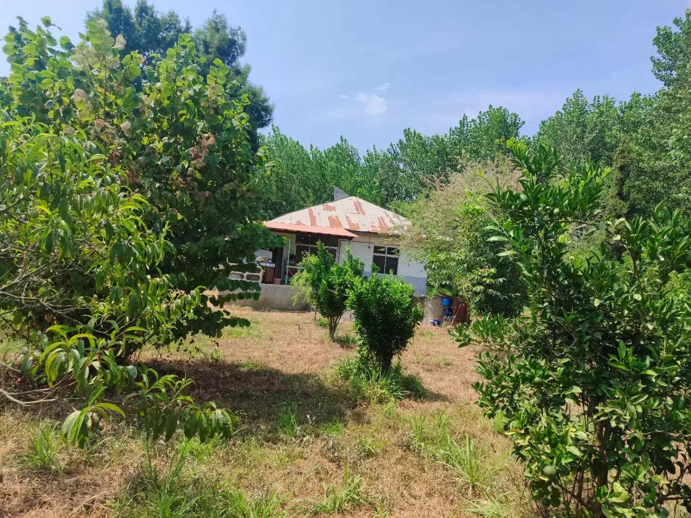 کارگر متاهل با محل سکونت|استخدام سرایداری و نظافت|رضوانشهر, |دیوار