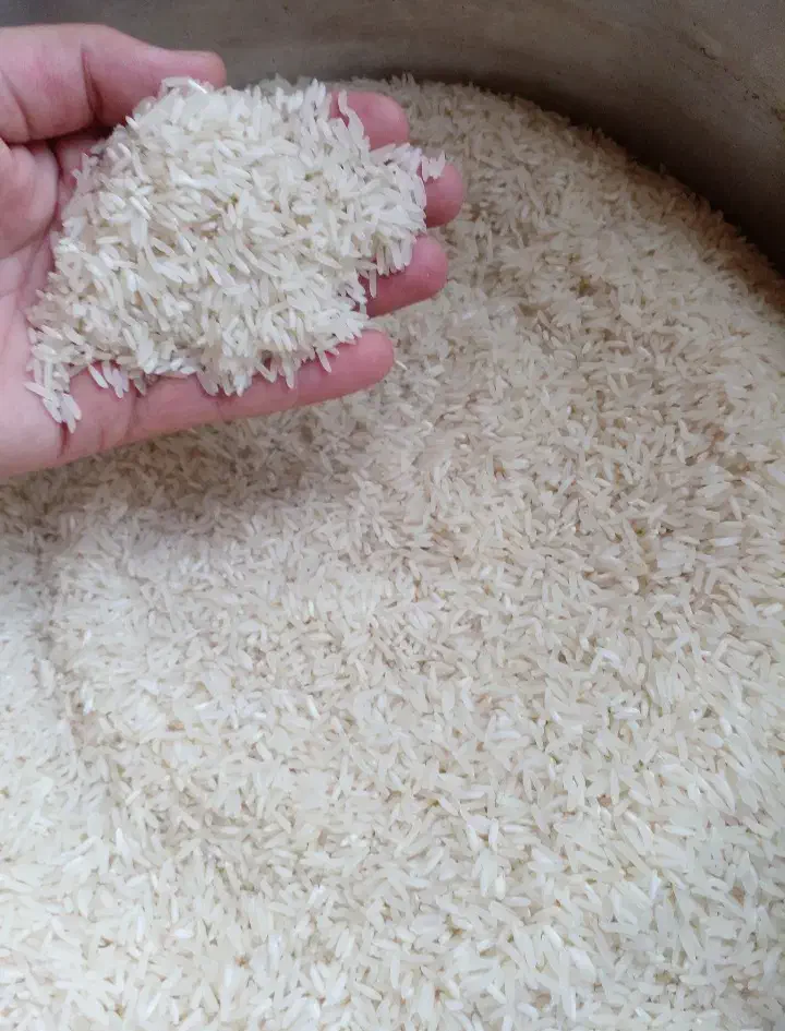 برنج هاشمی|خوردنی و آشامیدنی|رشت, توشیبا|دیوار