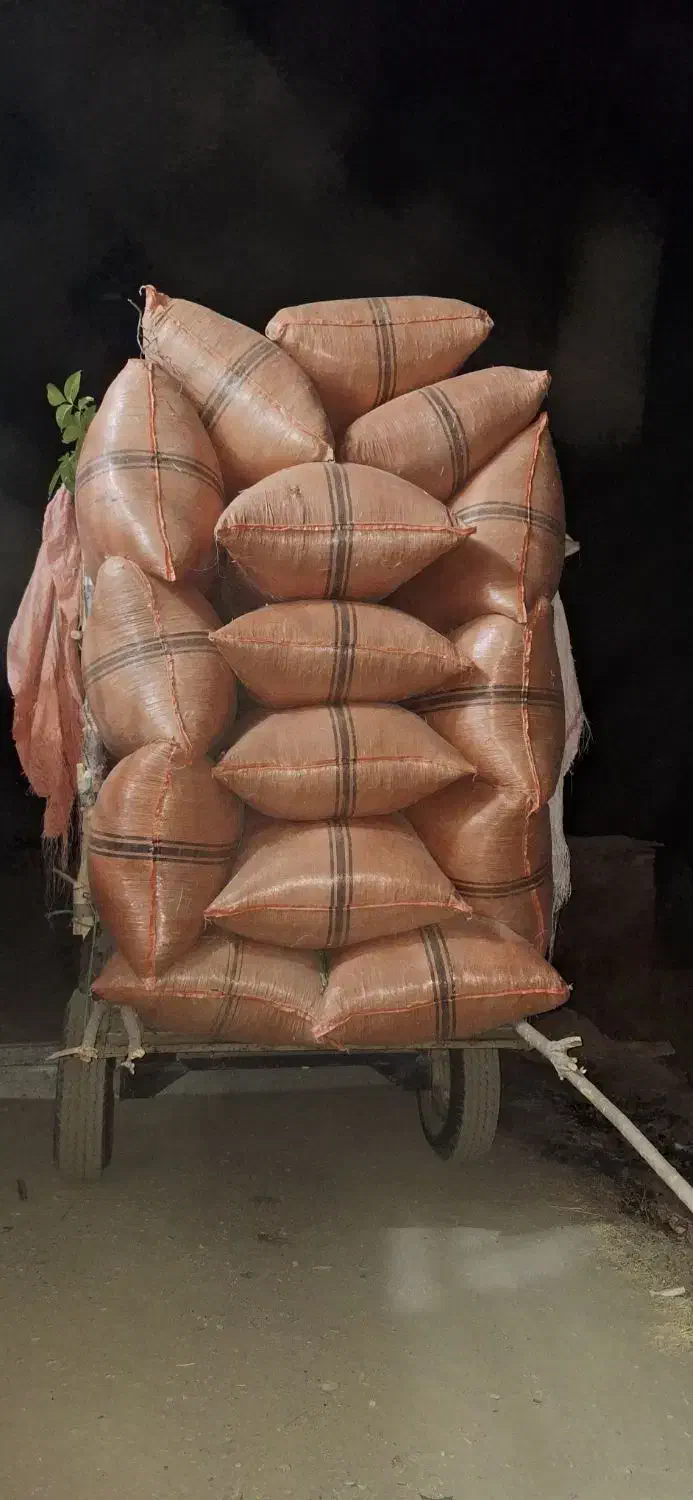 علف|خدمات باغبانی و درختکاری|مریوان, |دیوار