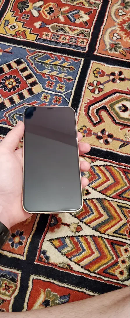 آیفون ۱۲ پرومکس iphons 12 promax 256 gig|موبایل|تهران, مجیدیه|دیوار