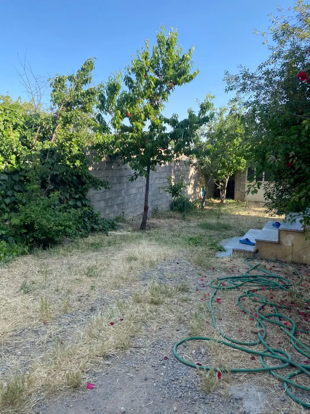 ویلایی ۱۵۰ متری|فروش خانه و ویلا|عنبران, |دیوار