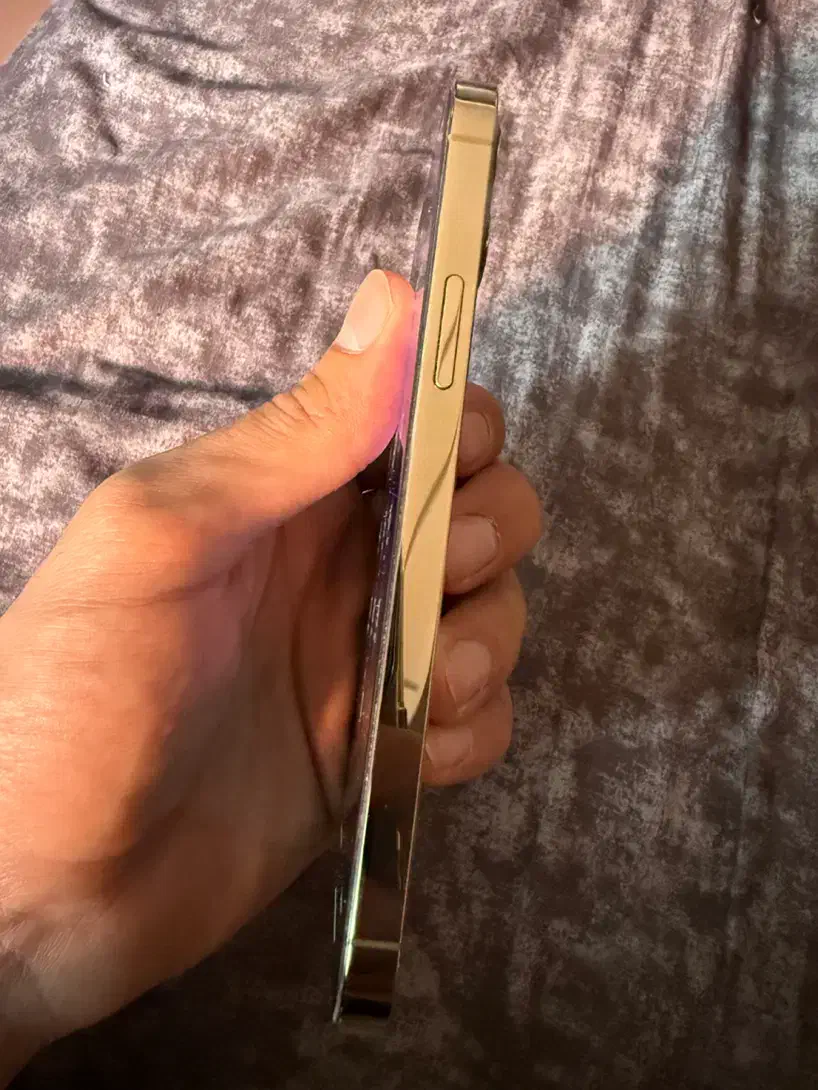 آیفون 12 پرو|موبایل|مشهد, هفت تیر (حافظ)|دیوار