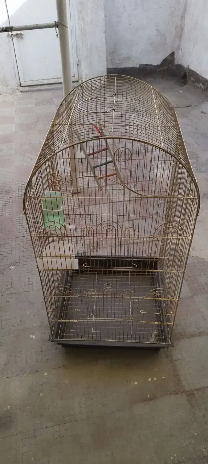 قفس پرنده|لوازم جانبی حیوانات|مشهد, تلگرد|دیوار