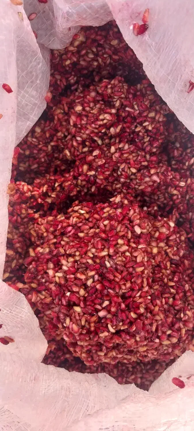 ناردونه ناردانه انار دانه دانه|خوردنی و آشامیدنی|شیراز, بهارستان|دیوار