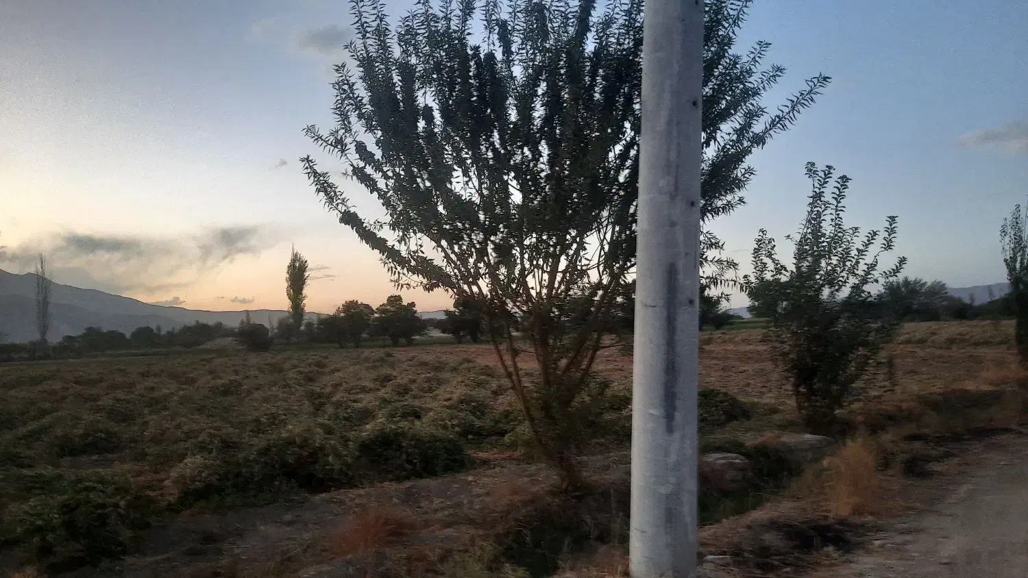 زمین زراعی|فروش زمین و ملک کلنگی|گلپایگان, |دیوار