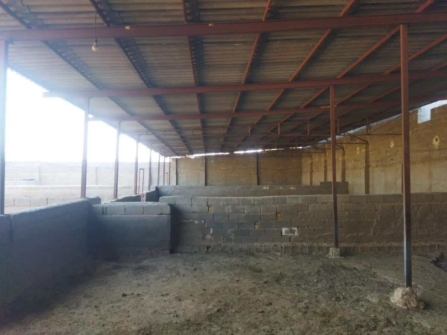 فروش دامداری ۱۵۰۰ متری در صغاد|فروش دفتر صنعتی، کشاورزی، تجاری|فسا, |دیوار