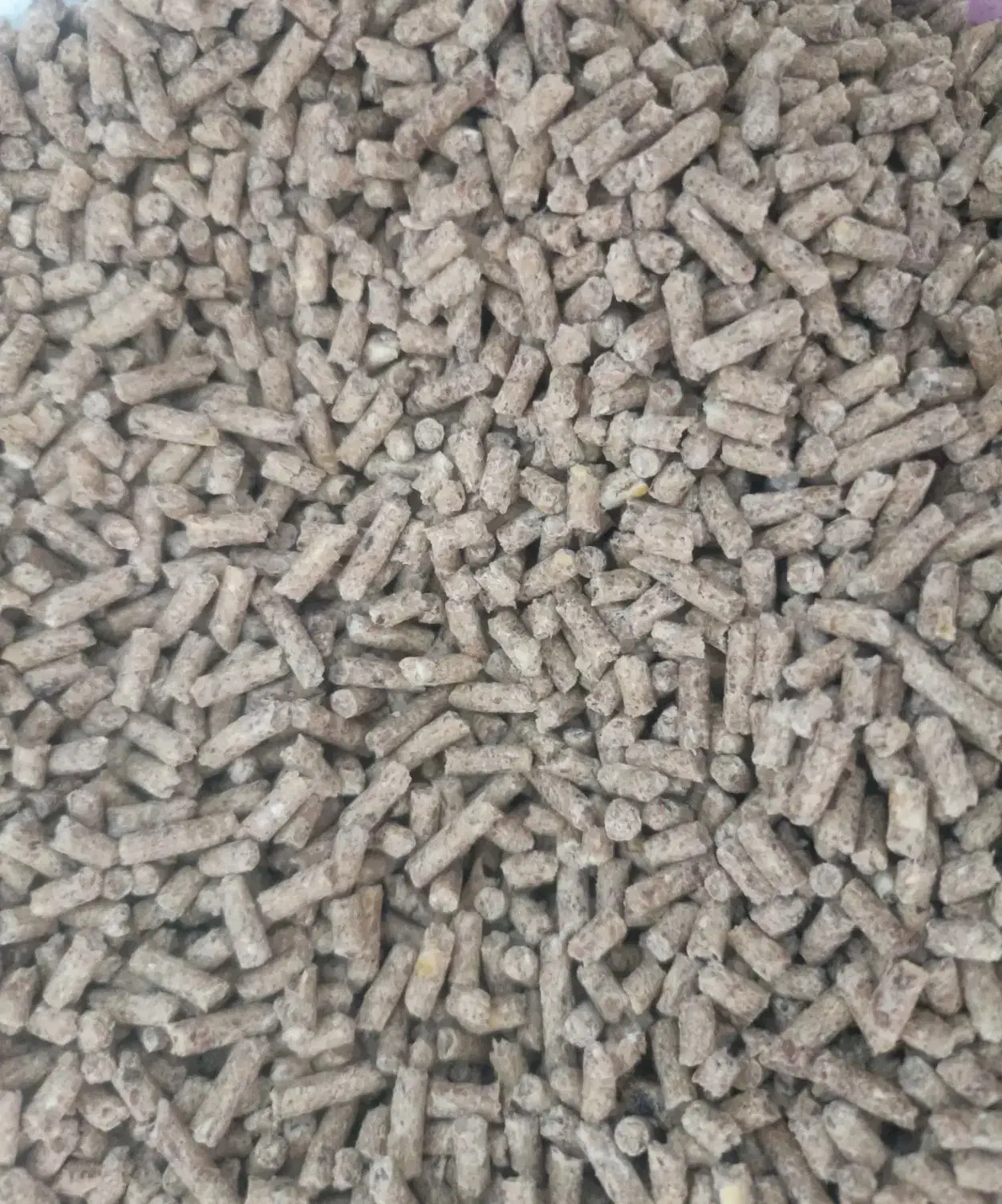 خوراک/دان کامل بوقلمون بومی پلت|لوازم جانبی حیوانات|گلپایگان, |دیوار