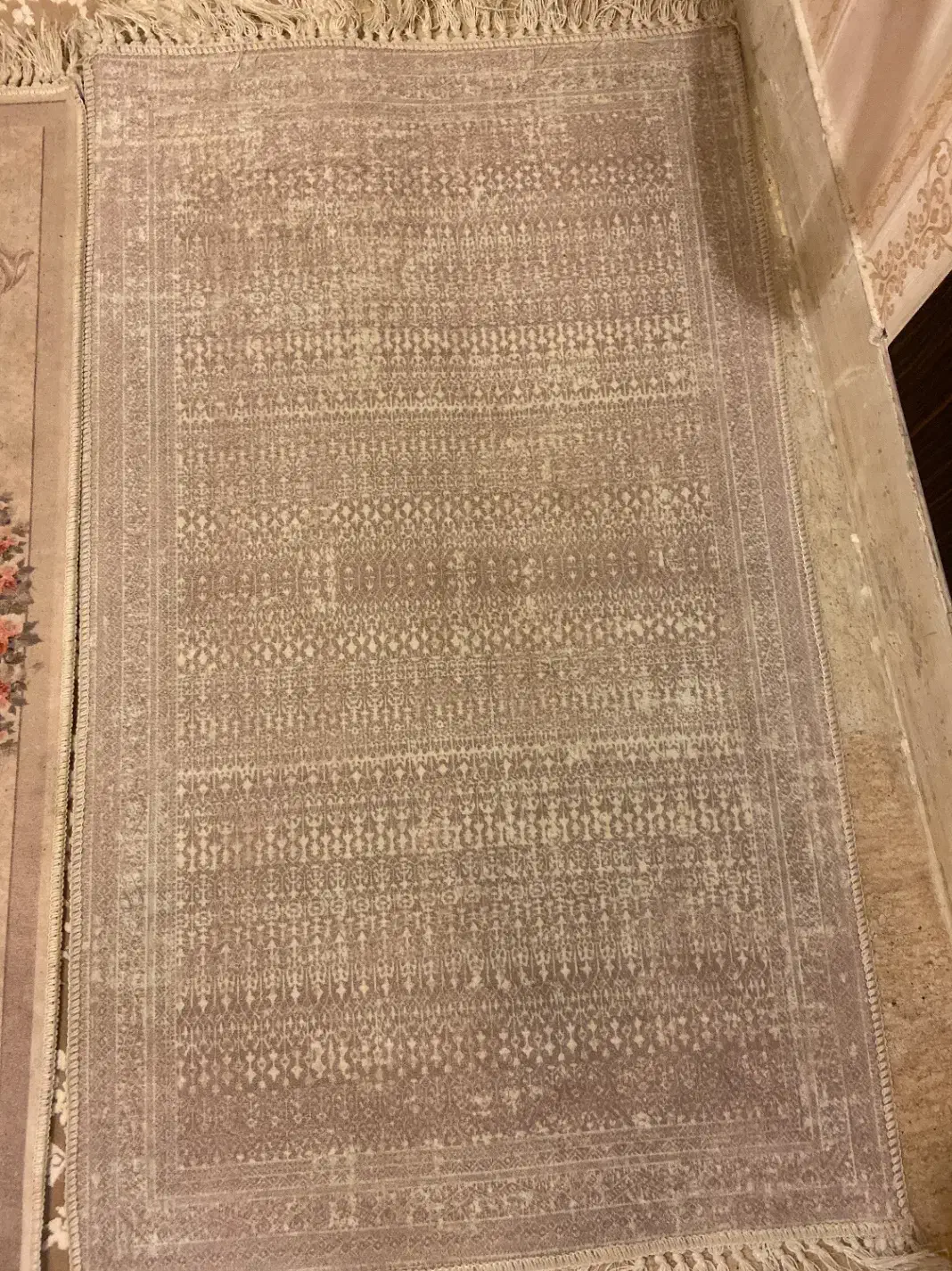 پادری|پادری|هشتگرد, شهرک گلها|دیوار