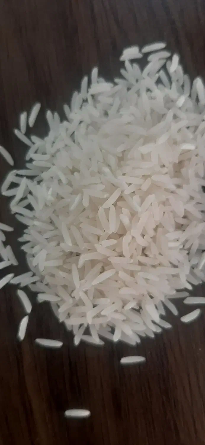 برنج فجر سوزنی ۱۲۰ روزه مستقیم از کشاورز|خوردنی و آشامیدنی|گرگان, |دیوار