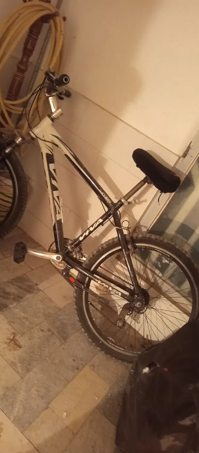 دوچرخه فروشی|دوچرخه، اسکیت، اسکوتر|بافت, |دیوار