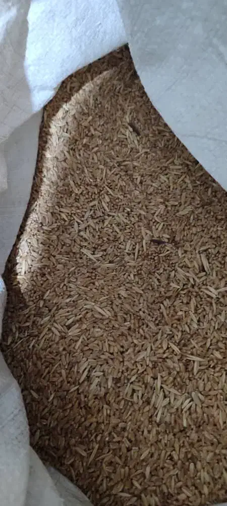 جو و گندم قاطی|عمدهفروشی|بهبهان, |دیوار