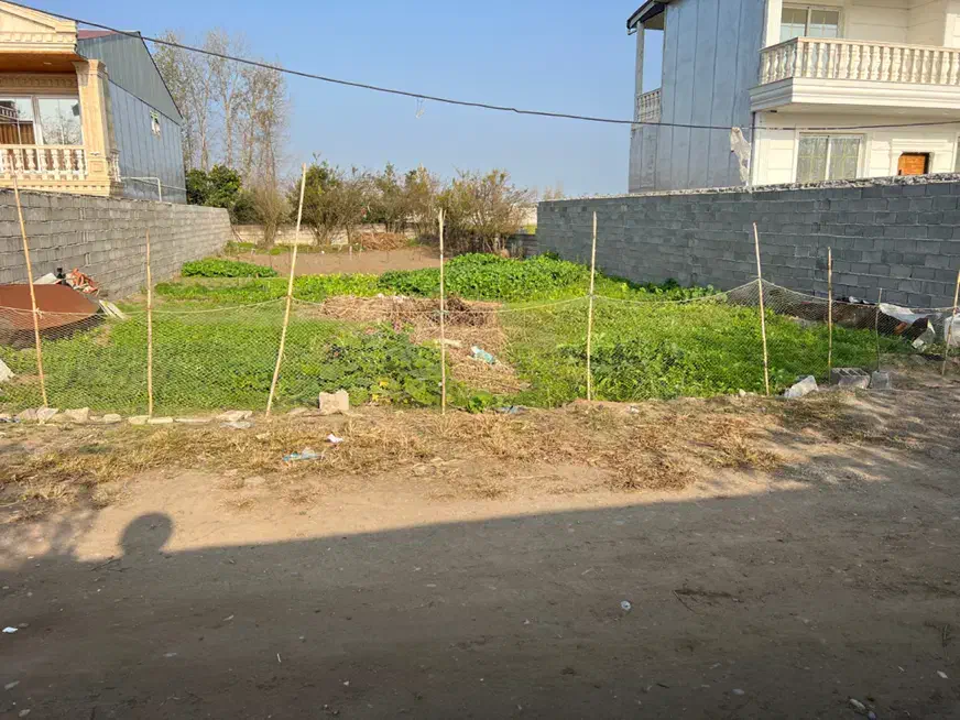 فروش زمین به متراژ ۳۶۷متر با سند چاف و چمخاله|فروش زمین و ملک کلنگی|چاف و چمخاله, |دیوار