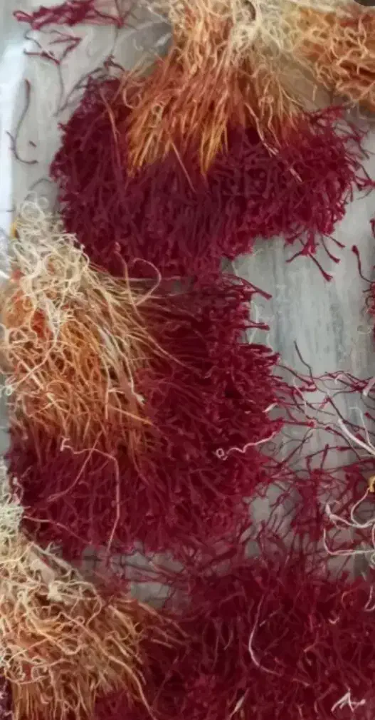 زعفران مرغوب قاین|خوردنی و آشامیدنی|شیراز, سیاه سنگ|دیوار