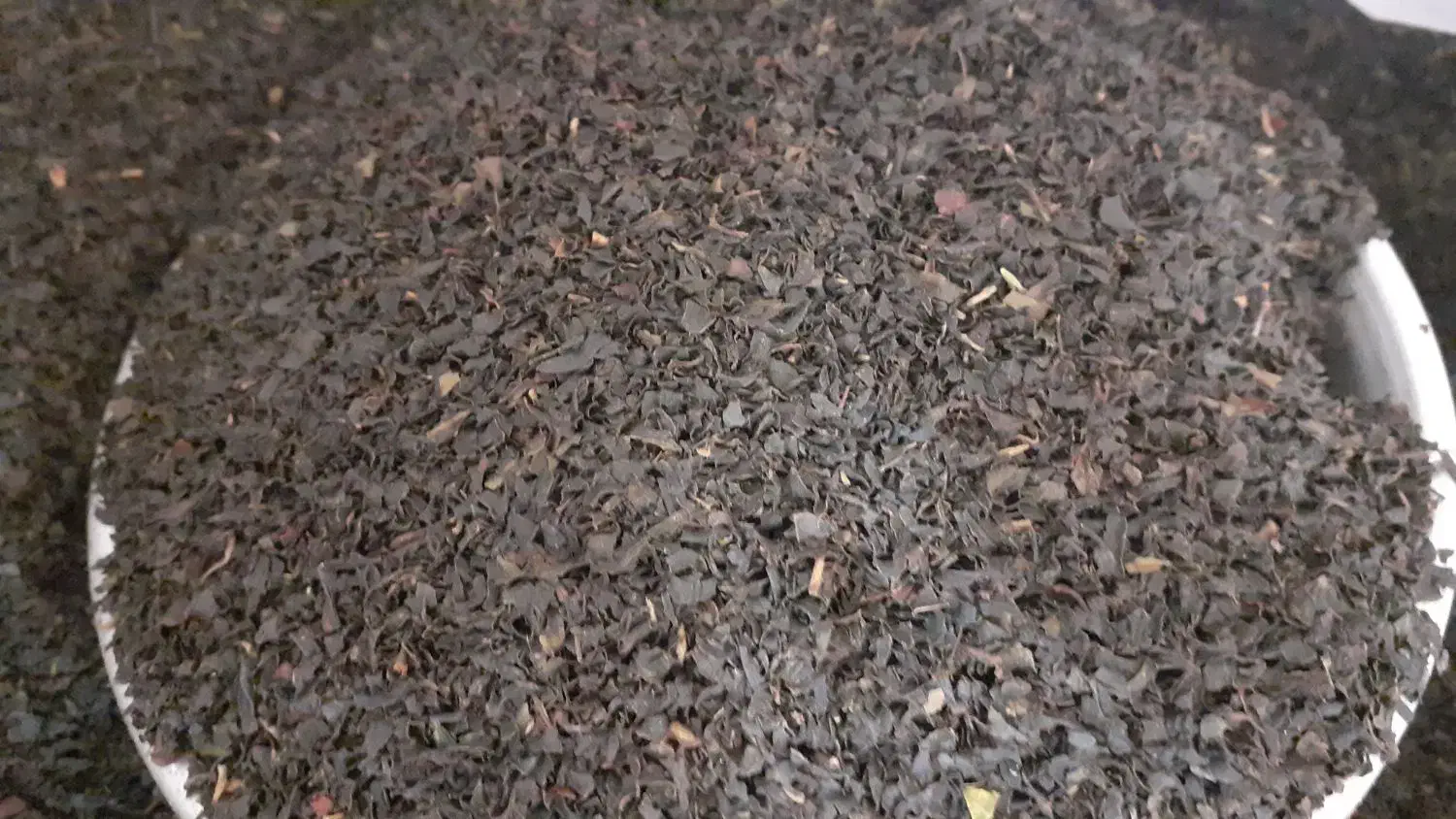 خوردن وآشامیدن|خوردنی و آشامیدنی|قم, قلعه کامکار|دیوار