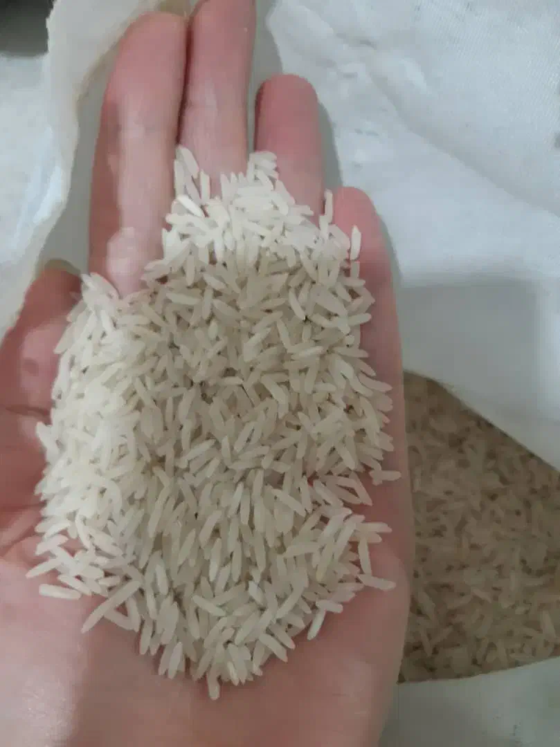 برنج ایرانی|خوردنی و آشامیدنی|صباشهر, |دیوار