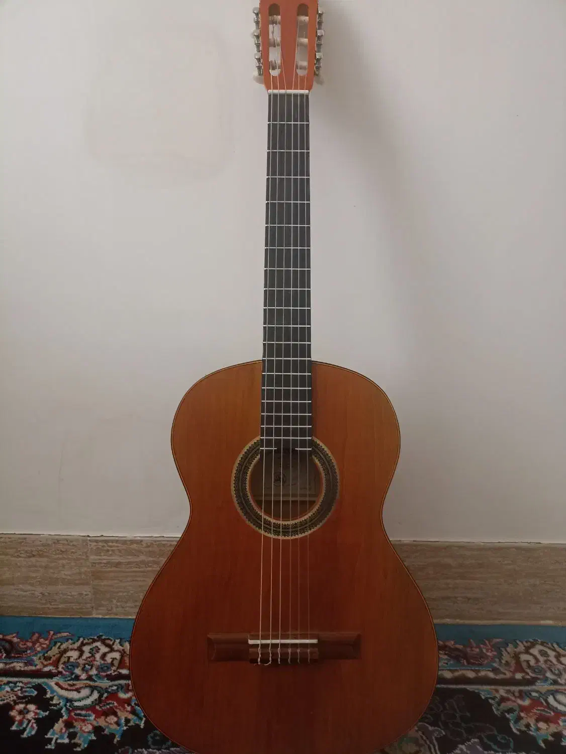 گیتار نو استفاده نشده|گیتار، بیس، امپلیفایر|خرمآباد, |دیوار