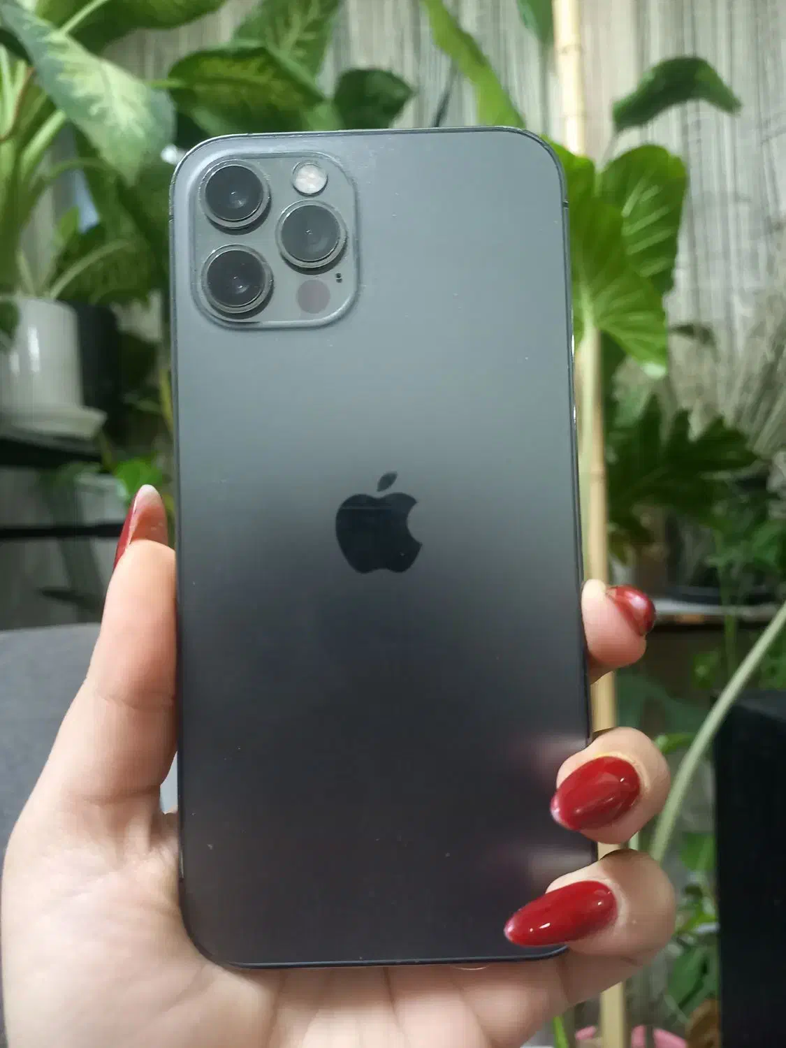 iphone 12poro|موبایل|مشهد, هنرستان|دیوار