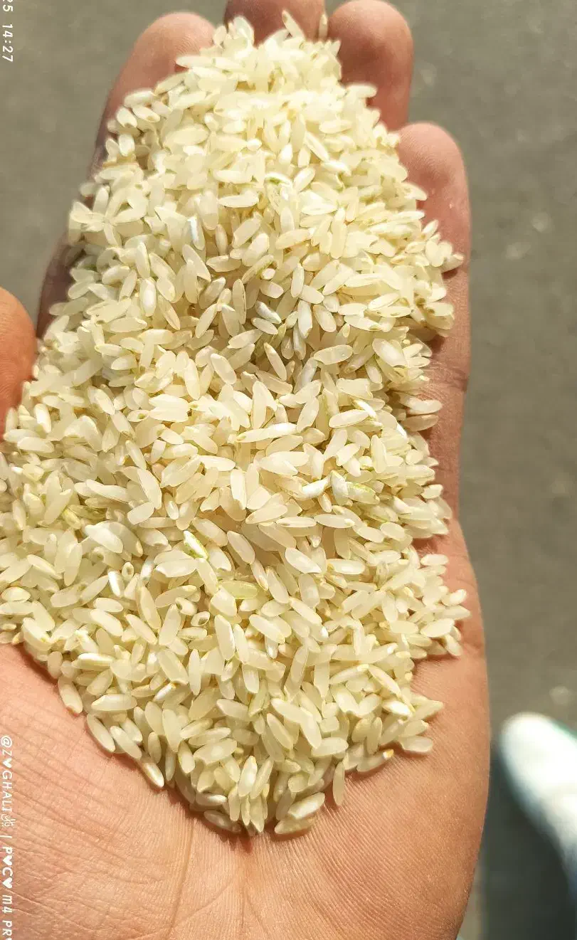 برنج کامفیروزی نو|خوردنی و آشامیدنی|مرودشت, بهارستان|دیوار