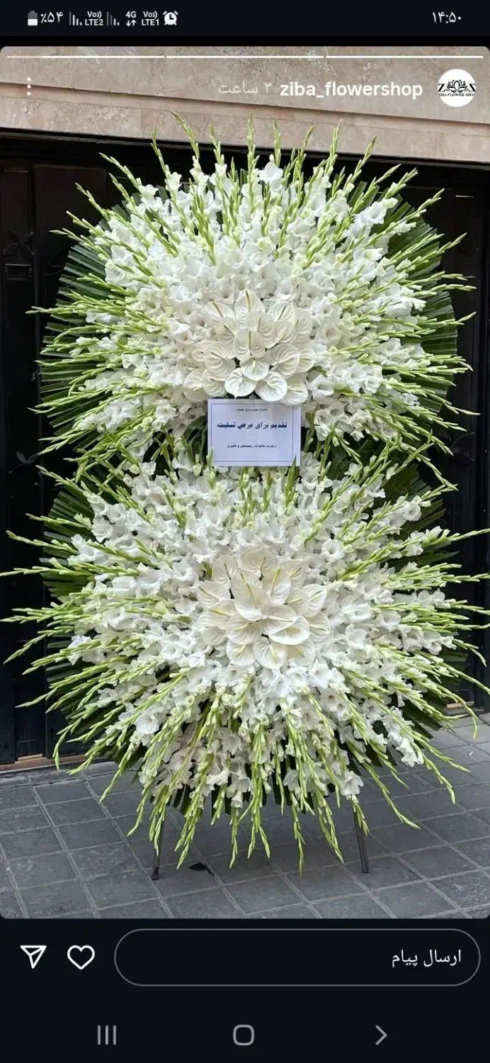 گل رز هلندی سبد گل نمایشگاه|گل و گیاه طبیعی|قم, بلوار امین و ساحلی|دیوار